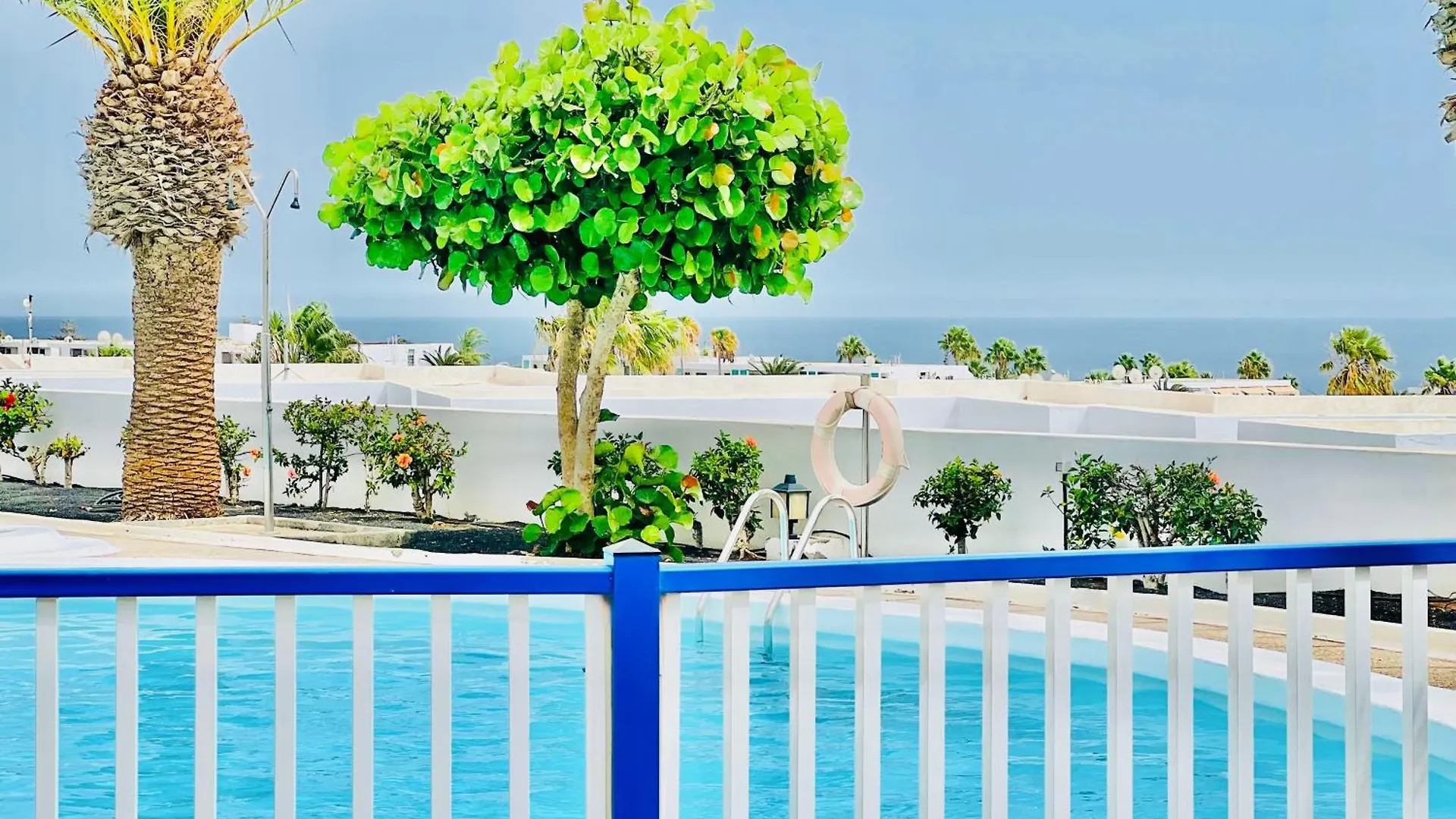 Canaryislandshost L Amapola Puerto del Carmen  Spain