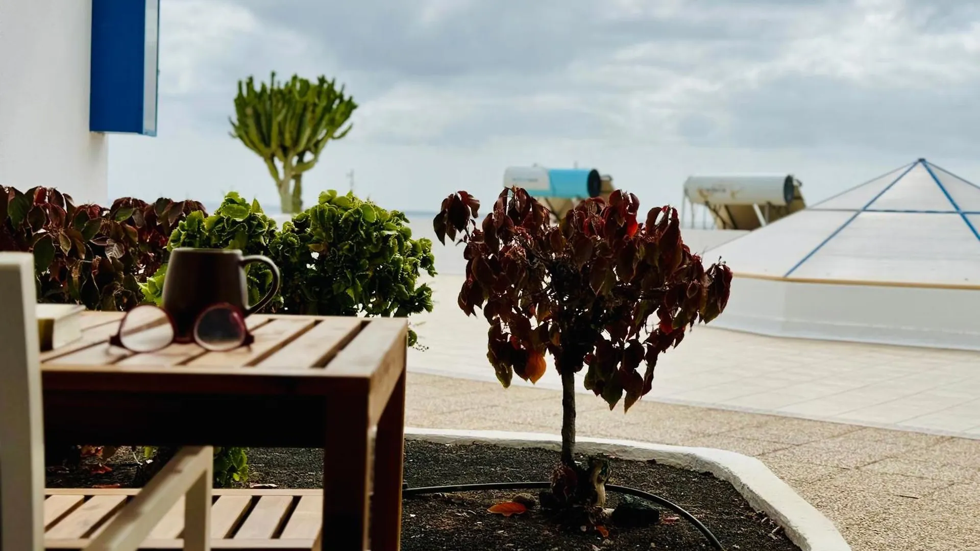 Canaryislandshost L Amapola Puerto del Carmen  Apartment